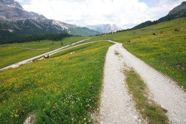 Prato Piazza - Val Pusteria