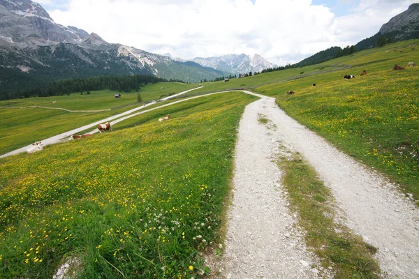 Prato Piazza - Val Pusteria — Stock Photo, Image