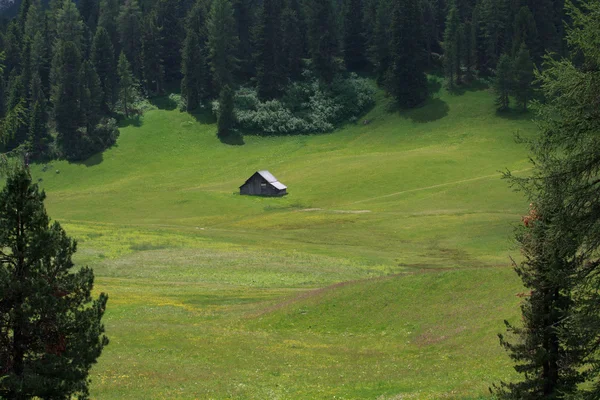 Prato Piazza - Val Pusteria — Zdjęcie stockowe