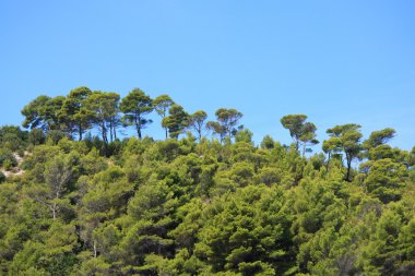 Peschici sahil