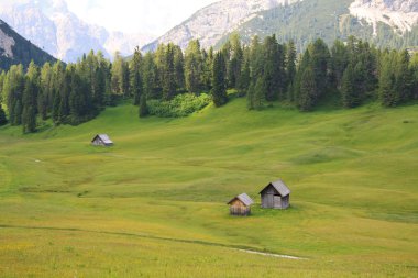 Prato Piazza - Val Pusteria