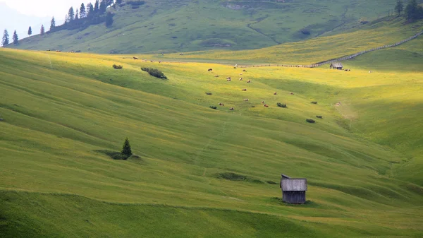 Plätzwiese - Pustertal — Stockfoto