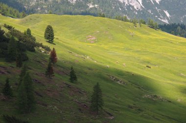 Prato Piazza - Val Pusteria
