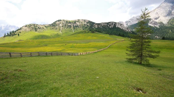 Prato Piazza - Val Pusteria — Stockfoto