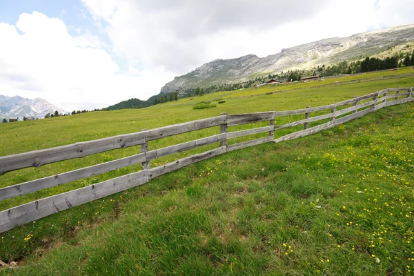 Prato Piazza - Val Pusteria — Stock Photo, Image