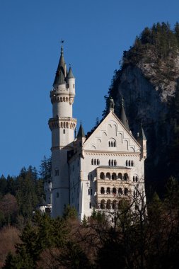 Neuschwanstein Şatosu