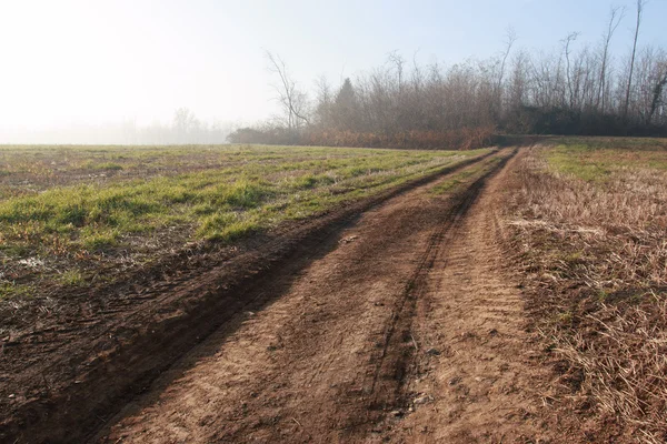 Lombardije platteland — Stockfoto