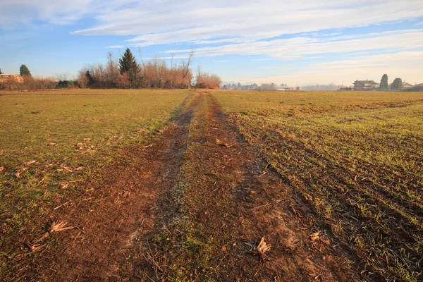 Agrarische landschap — Stockfoto