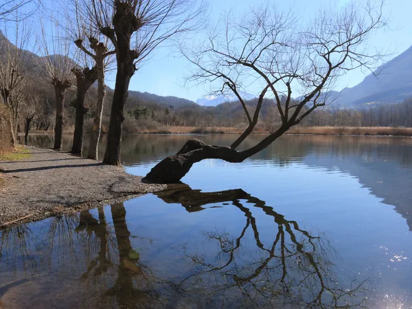 ทะเลสาบเปียโน ( Val Menaggio ) — ภาพถ่ายสต็อก