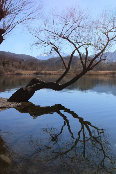 Lake Piano (Val Menaggio) — Stockfoto