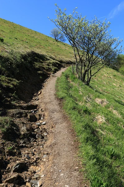 Karşı dağın bolettone yolu — Stok fotoğraf