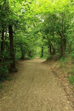 Lura Park
