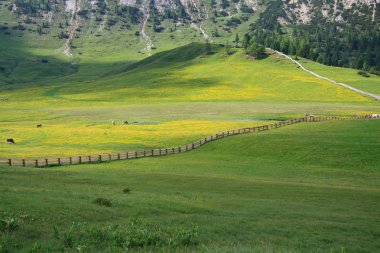 Prato Piazza - Val Pusteria