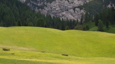 Prato Piazza - Val Pusteria