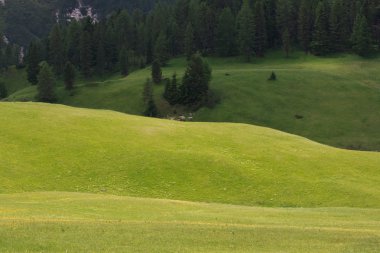 Prato Piazza - Val Pusteria