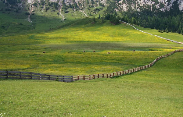 Prato Piazza - Val Pusteria — Stock Photo, Image