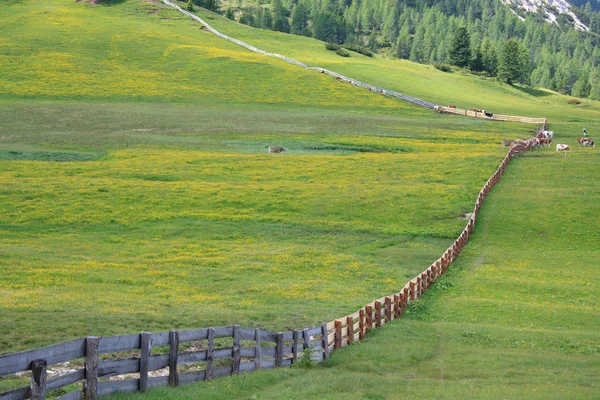 Piazza Prato - val pusteria — Foto de Stock