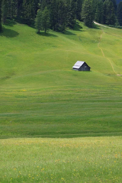 Piazza Prato - val pusteria —  Fotos de Stock