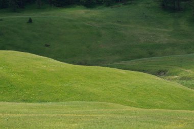 Prato Piazza - Val Pusteria