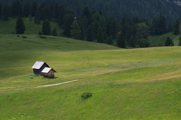 Piazza Prato - val pusteria —  Fotos de Stock