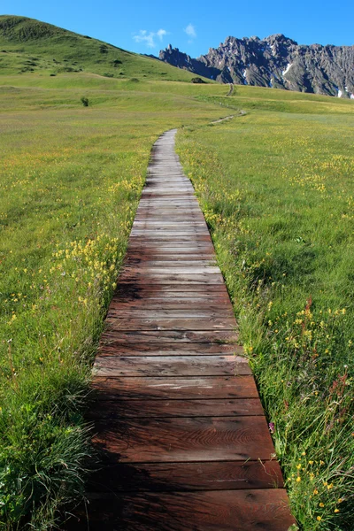 Seiser Alm — Stockfoto