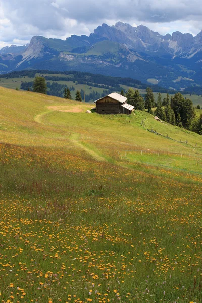 Alpe di Sigillo — Foto Stock