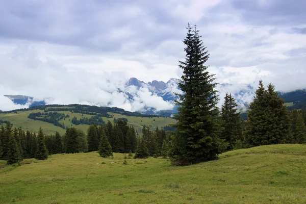 Seiser Alm — Foto de Stock