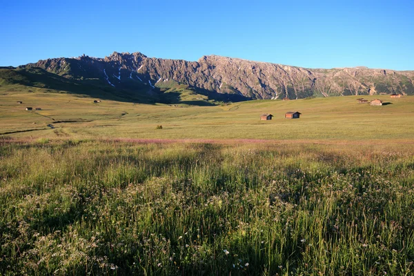 Seiser Alm — Stock fotografie