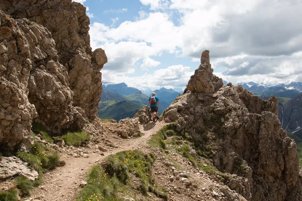 Dents de fourche Roterd — Photo