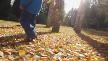 Genç çocuk sonbahar parkında yürüyor.