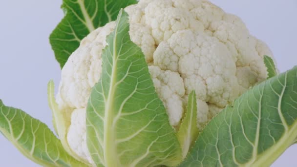 Cauliflower closeup — Stock Video