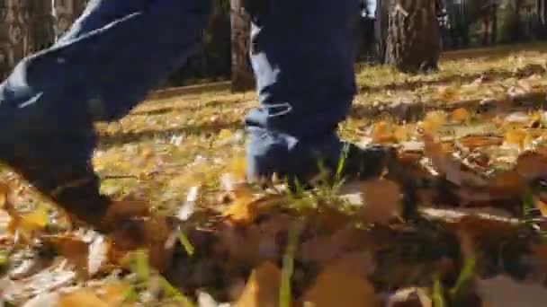 Passeggiate ragazzo nel parco autunnale — Video Stock