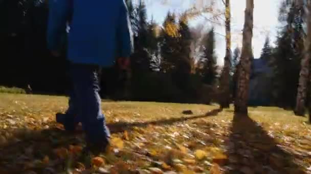Νεαρό αγόρι περπατά στο πάρκο φθινόπωρο — Αρχείο Βίντεο
