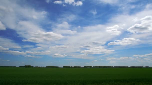 Nuvens flutuam acima do campo verde . — Vídeo de Stock