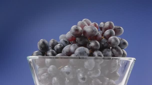 Grapes on blue background — Stock Video