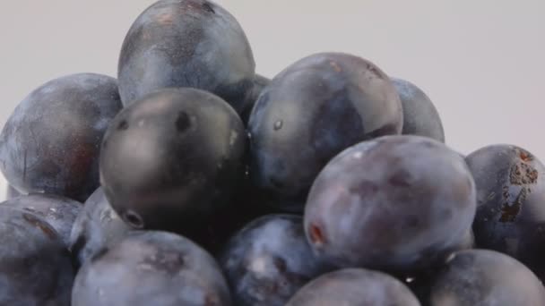 Ciruelas sobre fondo blanco — Vídeo de stock