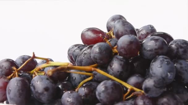 Raisins bleus — Video