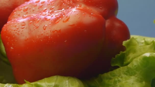 Red pepper with lettuce closeup on blue background — Stock Video