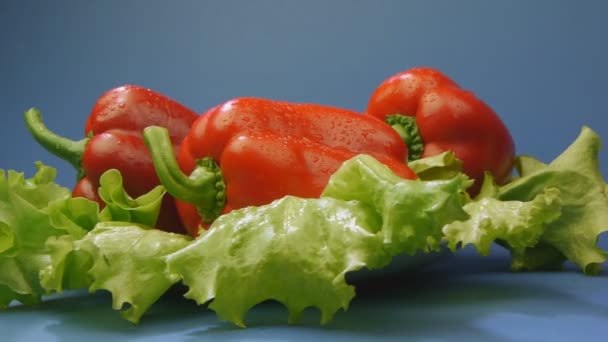 Червоний перець з салатом крупним планом на синьому фоні — стокове відео