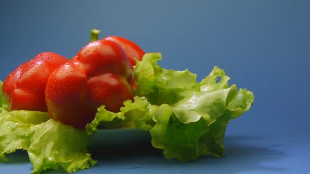 Rode paprika met sla close-up op blauwe achtergrond — Stockvideo