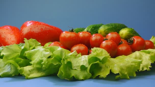 Verduras con lechuga sobre fondo azul — Vídeo de stock