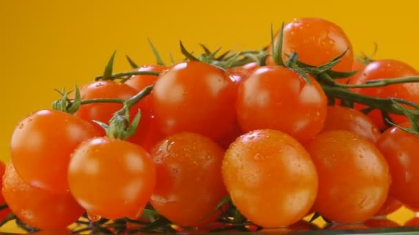 Tomates cerises vue rapprochée — Video