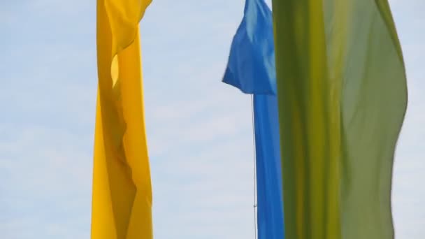Vlaggen zwaaien in de wind tegen besneeuwde achtergrond — Stockvideo