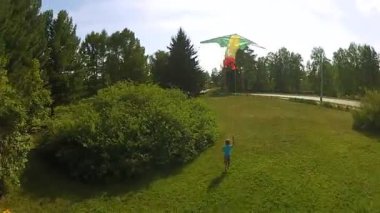 genç çocuk bir parkta onun uçurtma uçan