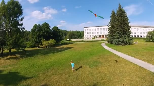 Chico corriendo con una cometa en el parque — Vídeo de stock