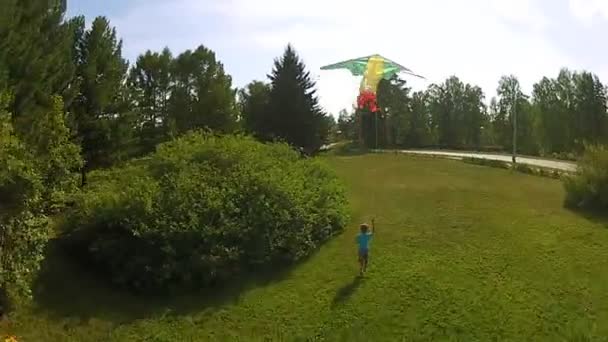 Jeune garçon vole son cerf-volant dans un parc — Video
