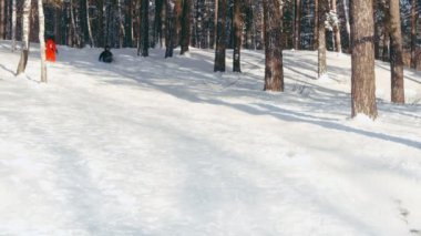çocukların tepeden kızak üzerinde kayar.