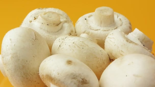 Witte champignons op oranje achtergrond — Stockvideo