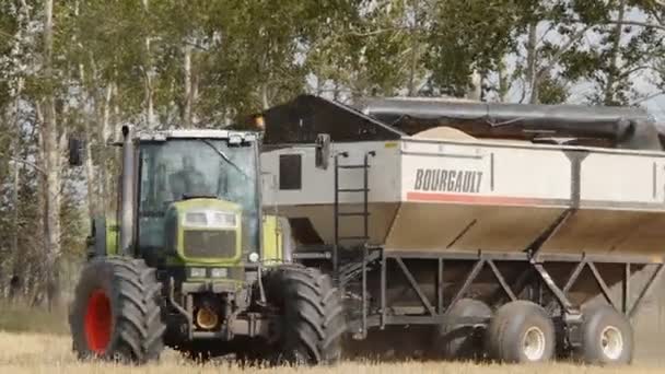 Fält som skördas för djur foder. natur och jordbruk ekologiskt jordbruk. — Stockvideo