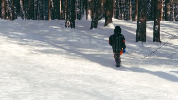 男孩从山上滑雪橇. — 图库视频影像